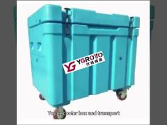 cooler box  and transport box