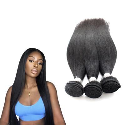 China Body Wave Brizillian Hair Virgin Hair Wig 100% Human Hair Straight Wig for sale