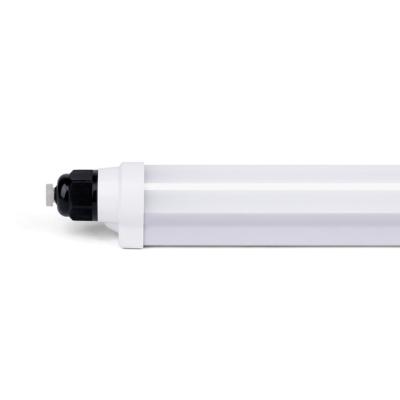 China IP66 TUV Waterproof Plastic CE Listed 900mm Waterproof Led T8 Light With IK10 IP66 Bracket Socket And T8 Set Led Lamp Waterproof Fixture for sale