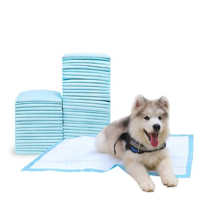 China 2022 New High Selling Amazon Absorbent Pad Pet Replacement Pad Hot Viable Cheap Absorbent Urine Pad for sale