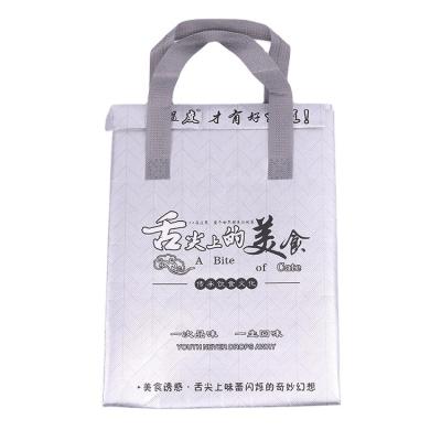 China Factory sales waterproof aluminum foil takeaway delivery food bags hot box in car cooler bags for sale