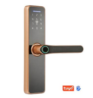 China Smart Wood Door Lock Tuya App Fingerprint Keyless For Home Wifi Digital Remote Control Finger Lock Tuya TTlock Smart Lock Door for sale