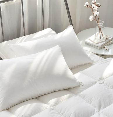 China Sustainable Hot Selling Quality Bedding Fluffy Reversible All Season Polyester Pillow for sale