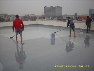 China Waterproof Polyaspartic Coating Projects-Roof Waterproof for Guangzhou Railway Stat for sale