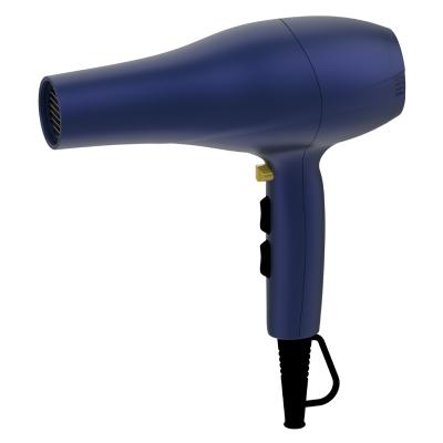 China AC Motor Ion Hair Dryer Salon Electric Professional Ionic Hair Dryer Hair Dryer for sale