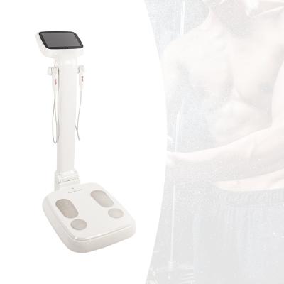 China Body Composition Analysis Muscle Fat Analysis China Machine Price Fat Analyzer Professional Body Composition Analyzer For Gym for sale