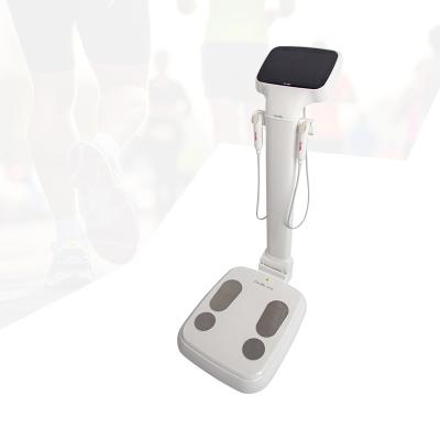 China Body Composition Analysis Muscle Fat Analysis Carebo 810 Provides 3D Body Scanner For Fitness Wellness Body Composition Analyzer Machine for sale