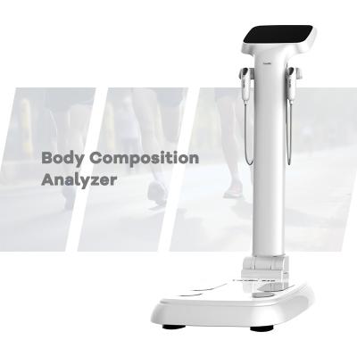 China Body Composition Analysis Muscle Fat Analysis Carebo 810 Most Accurate Body Fat Analyzer Scale Result Accuracy Chart Bioelectrical Impedance Analysis for sale