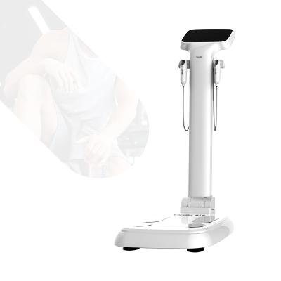 China Body Composition Analysis Muscle Fat Analysis Quickly Measure Fat Mass Muscle Mass And Body Water Body Composition Analyzer Machine for sale