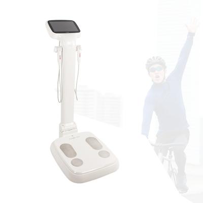 China Body Composition Analysis Muscle Fat Analysis Advanced Digital Body Composition Analyzer Used By Professionals To Provide An In-Depth Measurement Of An Individual's for sale