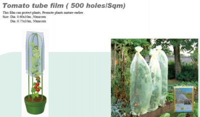 China PP NONWOVEN FABRC, WINTER COVER,MICRO-PERFORATED FILM,TOMATO TUBE FILM,GREEN FILM,MULCH FILM,REFLECT FILM,BIODEGRADABLE for sale