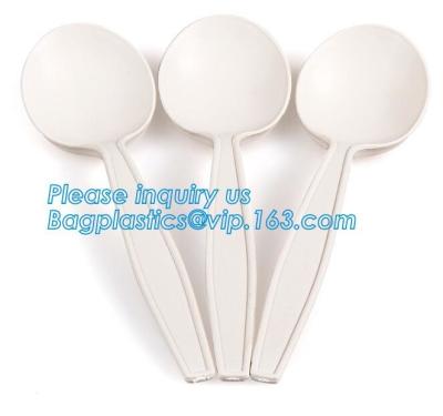 China 6 inches plastic biodegradable corn starch material spoon PLA dessert spoon,OEM Eco-friendly corn starch Disposable plas for sale