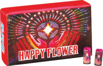 China Toy Consumer Novelties Fireworks Displays For All Ages Special Occasions Celebration for sale