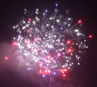 Chine Des feux d'artifice de gâteau de consommation Liuyang 100 coups de feu Forme droite 1.4G UN0336 à vendre