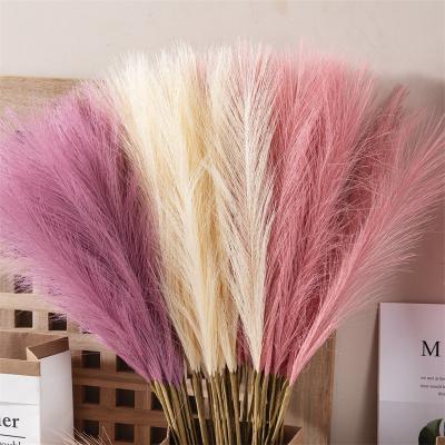 China Large Natural Faux Pampas Grass Bouquet Set Plume Dry Pampas Grass Flower 57Cm Boho Wedding Decor Wholesale Decor Large for sale