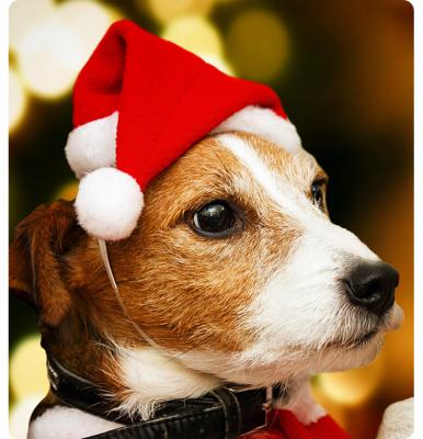 China Chirstmas Decor Christmas Decorations Pet Christmas Hats Dog Hats Plush Hats Pet New for sale