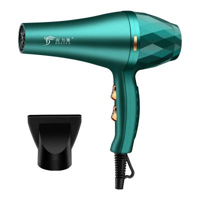 China Wholesale Brand New Lightest Powerful Anion Motor Digital Hair Dryer Private Ionic Hair Dryer Ion Salon Hair Dryer Infrared for sale