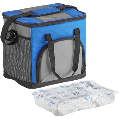 China Ederbou Waterproof Blue Insulated Small Soft Cooler Bag With Shoulder Strap (Holds 24 Boxes) for sale