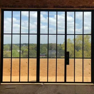 China Minimalist Slim Lite Steel Glass Doors for sale