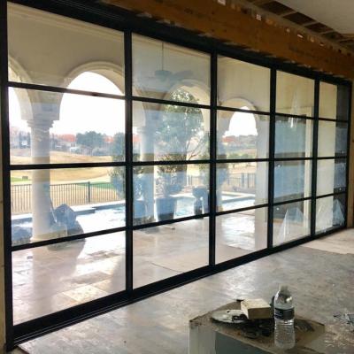 China Modern Steel Slim Lite Sliding Door With Big Panel Glass for sale