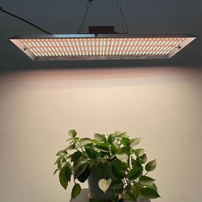 China Factory supply 300w 300 watt uv and deep red led grow light with dimming function for sale