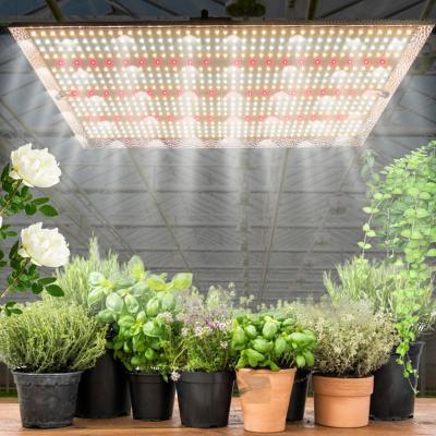 China NUMBER USA Stock IP65 Waterproof Led Panel growing plant kit shenzhen lightingLight Growing Led Lights For Indoor Plant Growth for sale