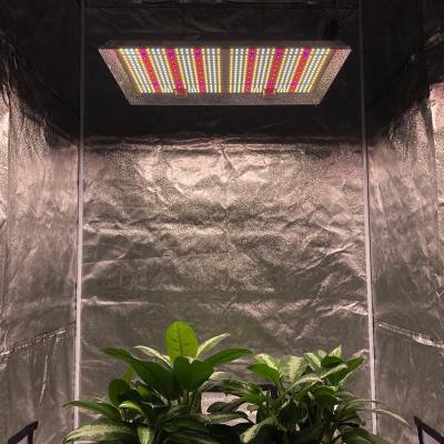 China NUMBER High Yields Output 300W 300Watt Led Grow Board Grow Light With UV IR For Indoor Gardening for sale