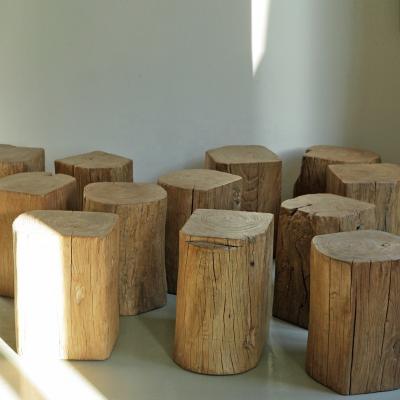 China Assembled Solid Wooden Indoor Stumps Elm Wood Stumps Decoration Chinese Natural Wood Stumps for sale