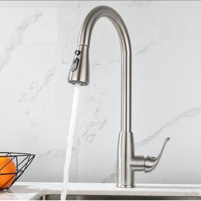 China Modern Hot Selling Modern Three Spray Modes Stainless Steel Kitchen Shower Faucet for sale