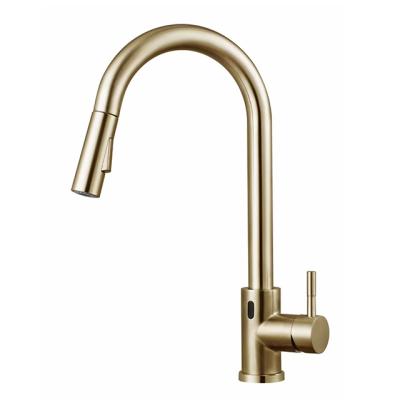 China Modern Water Type 304 Stainless Steel Induction Can Rotate 360 ​​To Stretch Gold Kitchen Faucet for sale