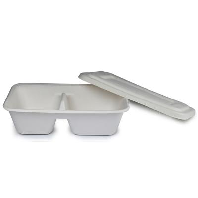 China Disposable Biodegradable Comp Food Container Box Factory Wholesale 1000ml 2 Take Away Food With Separate Lid for sale