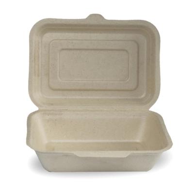 China Factory Wholesale Healthy Biodegradable Disposable Food Containers Directly Sale Food Takeaway Box With Lids for sale