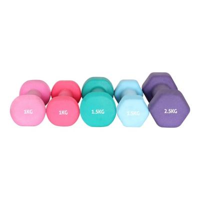 China Colorful Fitness Gym Equipment Hammer Strength Fixed Small Yoga Neoprene Dumbbell for sale