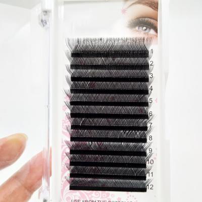 China Long Natural V Shape Volume Lashes Easy Fanning Eyelash Extensions For Wholesale for sale