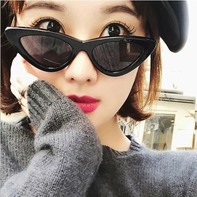 China 10 Years Glass Experience From Twooo 101001Triangle Cool Fashion Cat Eye Ladies Sunglasses 2021 for sale