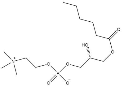 China L-α-lysophosphatidylcholine, caproyl (58445-96-8) for sale