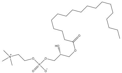 China L-α-lysophosphatidylcholine, stearoyl (19420-57-6) for sale