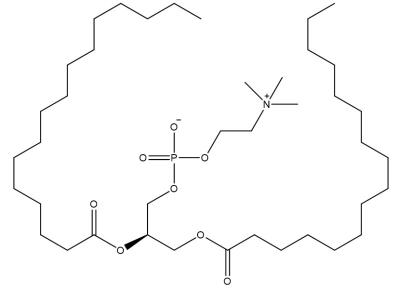 China 1,2-dipalmitoyl-sn-glycero-3-phosphocholine (63-89-8) for sale