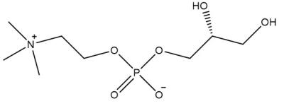 China Choline glycerophosphate (28319-77-9) for sale