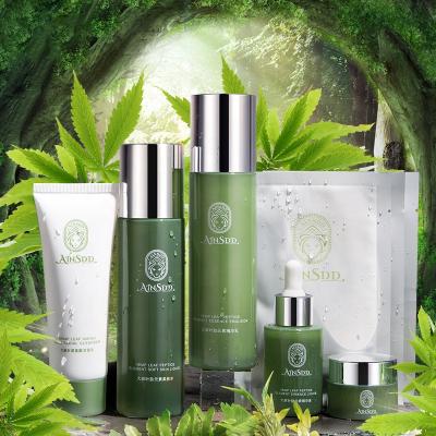 China AINSDD Face Hemp Leaf Peptide Skin Care Set CBD Natural Organic Soothing Moisturize Water & Oil Balanced Facial Care Six Piece Kit for sale