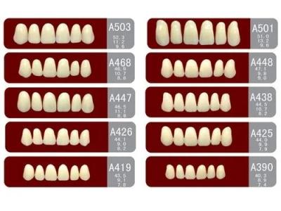 China VITA System False Dental Teeth with Heraeus Teeth Form 1 Easy to Use for sale