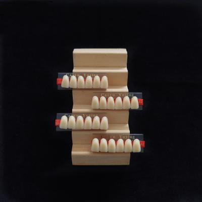 Κίνα Incisor (2×1)×16 Dental Acrylic Resin Composite Denture VITA System False Teeth προς πώληση