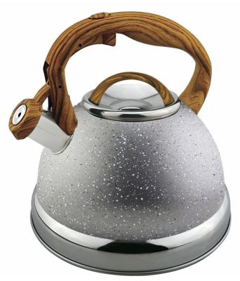 China Sustainable New Design Whistling Tea Kettle Stainless Steel Water Tea Pot With Color Painting Whistle Kettle For Kitchen Home for sale