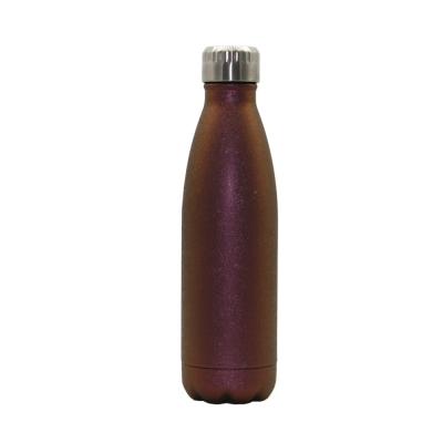 China Sustainable Double Wall Stainless Steel Vacuum Insulated Water Bottle With Filter for sale