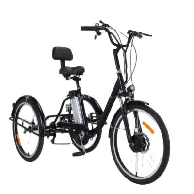 China Chinese Adult Tricycle Turkey 250W-750W Tuk Three Wheel Cargo 3 Wheel Electric Cargo Sale Electric Bicycle for sale