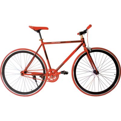 China Beautiful Street Speed ​​Bikes Fixed Carbon Frame Single Speed for sale