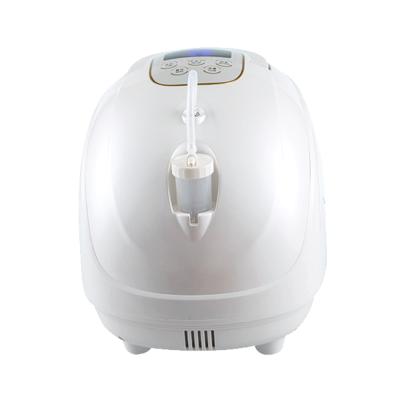 China Factory Made Portable Home Use 1L YJT PSA Oxygen Therapy Apparatus For Home Use Hot Sale for sale