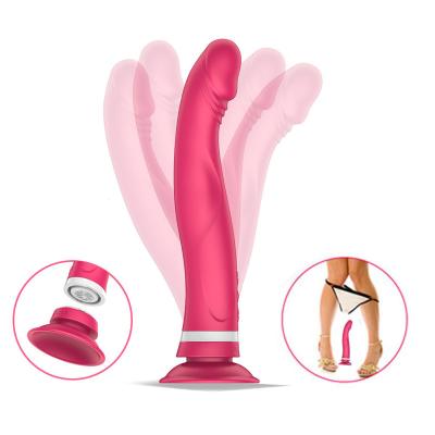 China Head 10-frequency vibration Wholesale Silicone Vibrator Sex Toys For Women Hot Sale Body Massage Sex Detachable Suction Cup Stick Vibrator For Women for sale