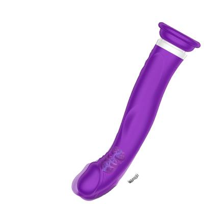 China Head 10-frequency vibration Wholesale Manufacturers Adult Sex Toys USB Rechargeable Waterproof Silicone Vibrator for Women G-spot Stimulation Vibrator for sale