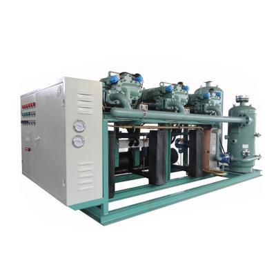 China Refrigeration Parts NH3 CO2 Compressor Unit System Semi-enclosed Screw Refrigeration Compressor for sale